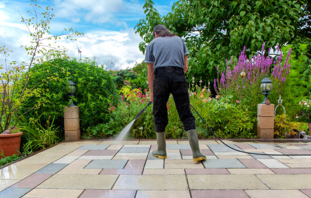 Best Fence Cleaning  in USA